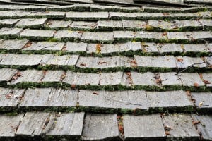 Damaged Cedar Shakes