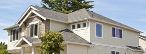 Types of Shingles