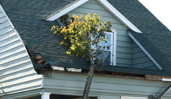 emergency roof repair